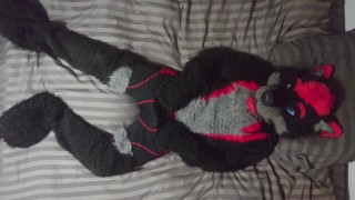 Sexy Fursuit Stripping