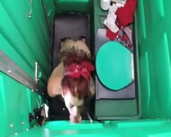 Redhead BLOWJOB FINISH Mature Cumshot In Mouth