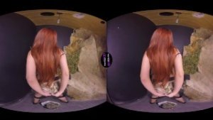 VirtualRealTrans.com – Armed s day