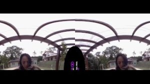 VirtualRealTrans.com – Spring breakers