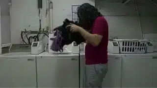 Madelyn Monroe And Cherry Morgan Are Strapped Up Lesbians