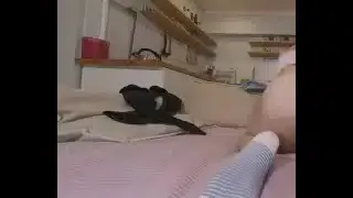 Solo hottie Kecy Hill and Adelina Sapphire play with a sex toy in VR.
