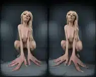 C T Drt Frt C0nverted