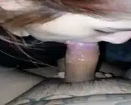 Homemade Blowjob