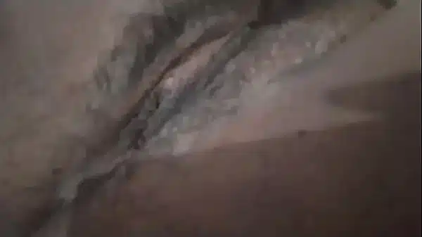 Peluda de volta redonda