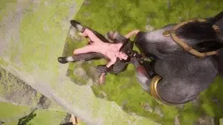 Wild Life / Guy Gets Two Huge Furry Dick (Group) Furry CENTAURS