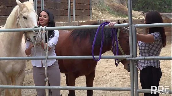 Barnyard fuck with Missy Martinez & Lylith Lavey makes you wanna cum instantly