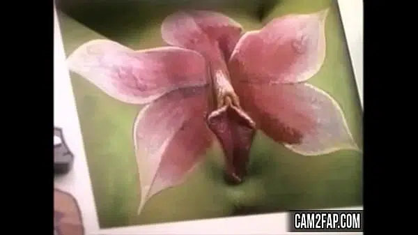 Pussy Free Funny Amateur Porn Video