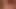 A tribute to Amalia VIII a CUMpilation