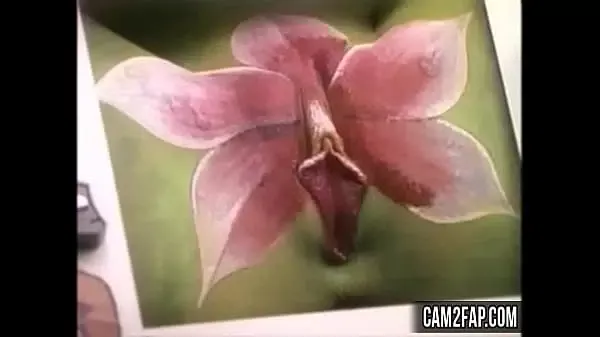 Pussy Free Funny Amateur Porn Video