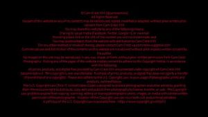 Athletic Guy Fucks Mature Asian MILF Pussy Good (part 2)