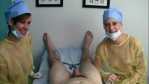 Nurse Gelding
