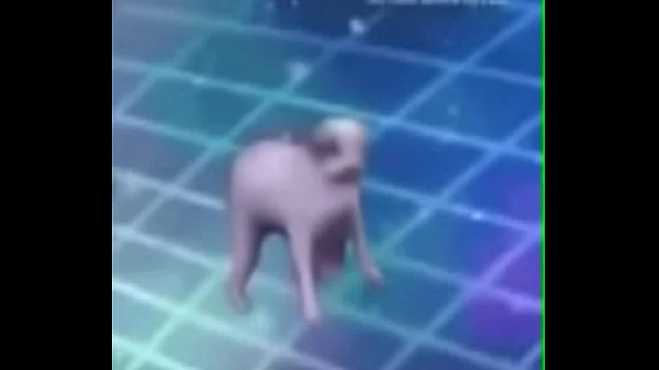 Pornohab35555ggg