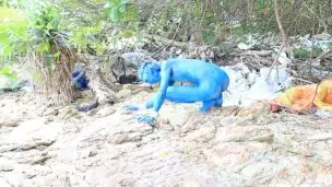 Bodypinat Cosplay : A Blue Pokemon In The Wild