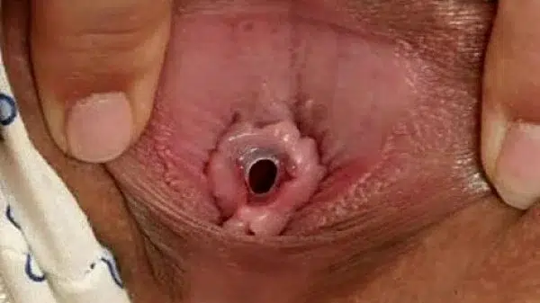 colegiala virgen