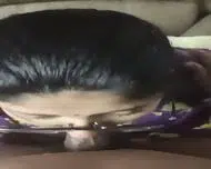DesHIBH Indian Chashmish Bhabhi Giving Husband
