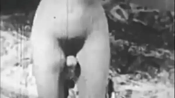 Two Centuries Of Retro Porn