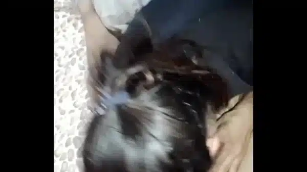 Argentinas amateurs