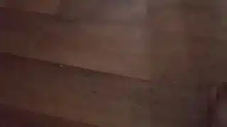 Feet and legs for those that dig it