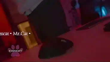 Foxy Dreams Came to a Swinger Date and Starred in Home Porn with Kisscat and MrCat