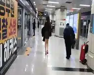 korean legs