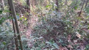 DickRT29 Enjoyment in the bush